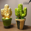 cactussen hobbypakket zomer