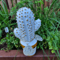 cactussen in je tuin hobbypakket voor volwassenen