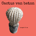 cactus van beton in bolvorm