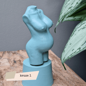 torso zwangere dame