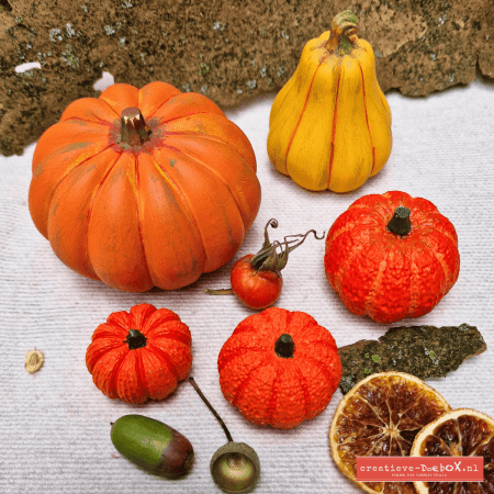 Russula pompoenset van keramisch gips om te beschilderen, set van 5 herfstpompoenen