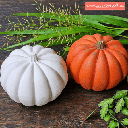 Kan ik mijn pompoen ieder jaar in een andere kleur schilderen?