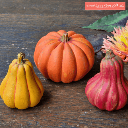 Welke pompoenen kan ik zelf schilderen voor mijn herfstdecoratie?